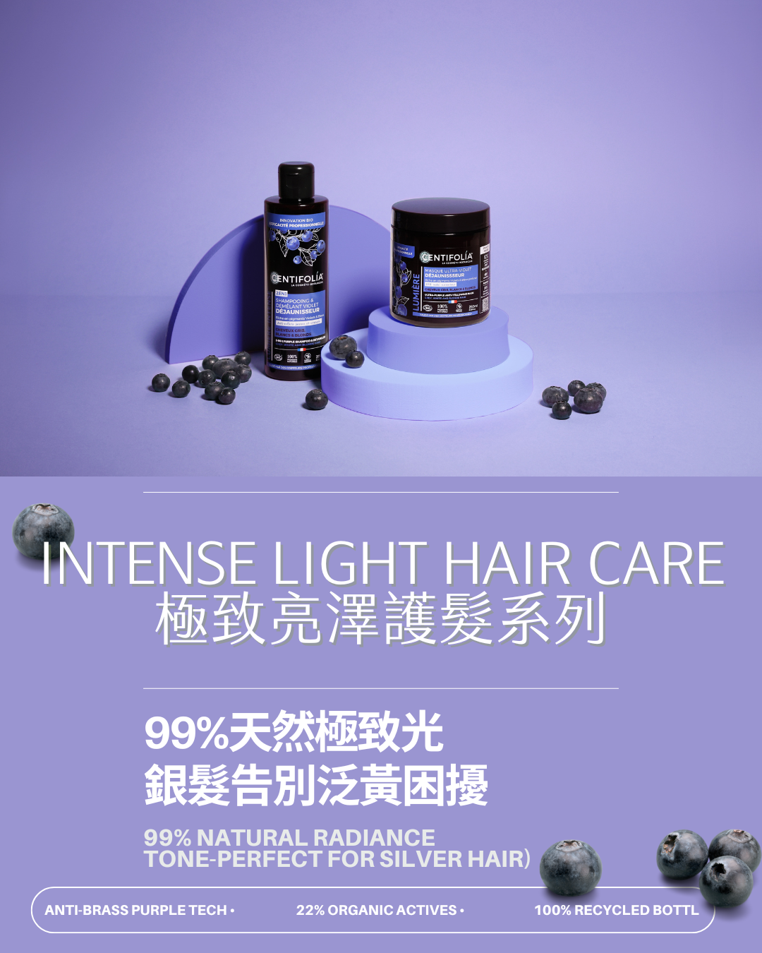 沙龍級 亮澤抗黃護髮膜 銀白髮專用 250 ml