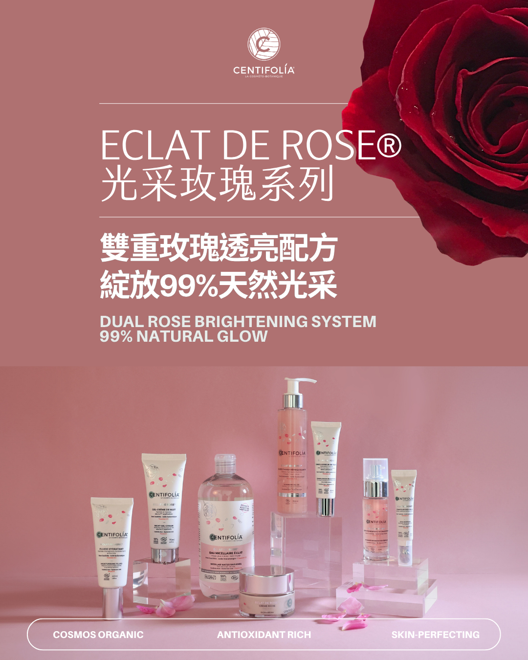 玫瑰保濕精華 40 ml (外盒受損 出清價)